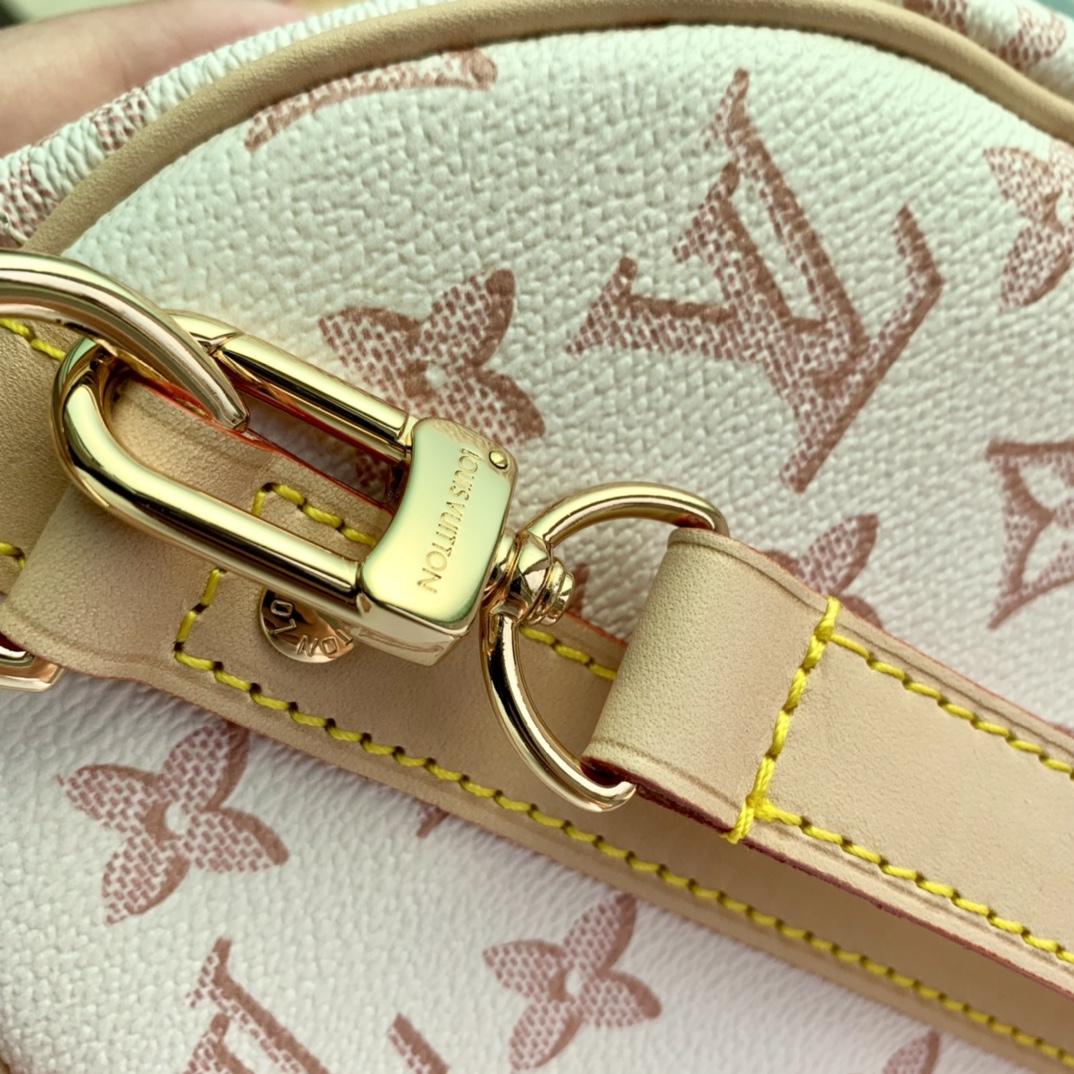 l0*is V*t0n speedy shoulder 25-25*19*15cm
