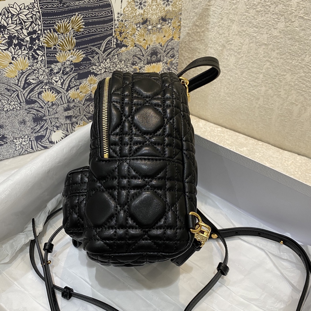 D*or backpack