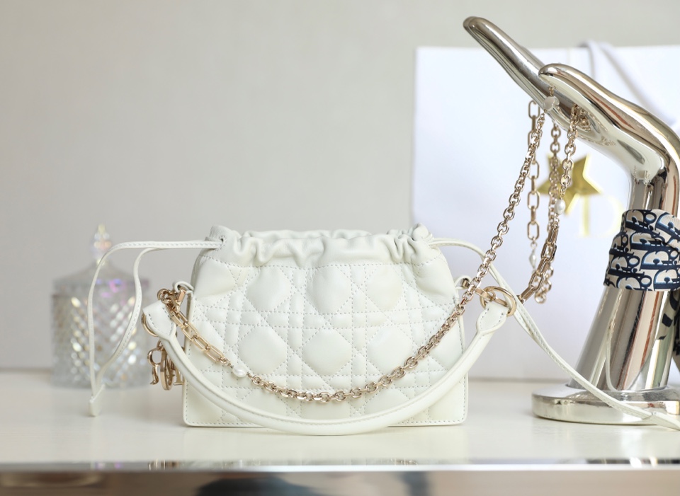 lady D*or bag-19 x 13 x 5cm